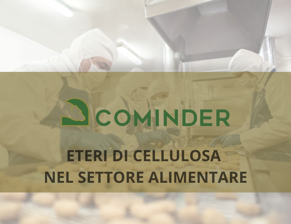 Eteri di cellulosa: perché usarli nel settore alimentare